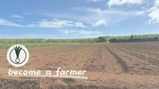 【京都から滋賀へ】脱サラ就農計画を練り直し中の男が取ったアクション 