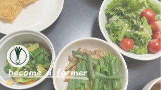 なぜ野菜の売価は安いのか？農業と政治・経済の関係性と構図をわかりやすく解説してみた 