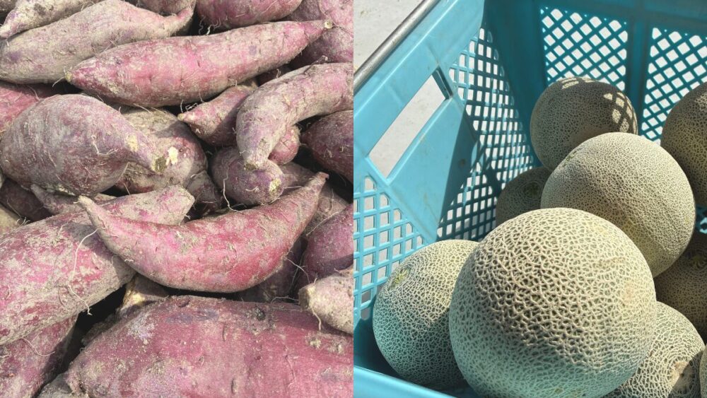 さつまいもとメロンの相関性