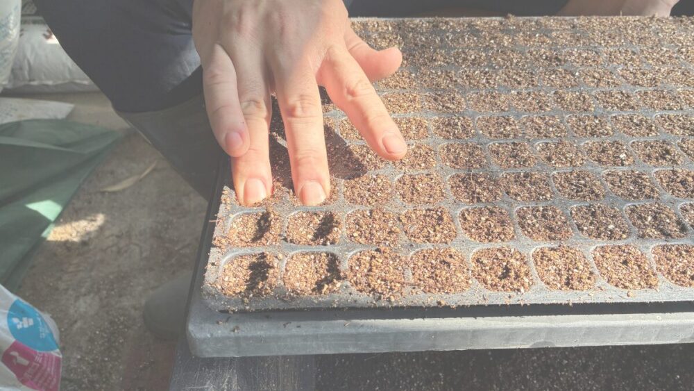 退職後にお世話になる予定の農家