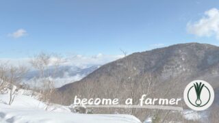 会社員を辞める判断基準「自由vs安定」比較論争について思うこと 