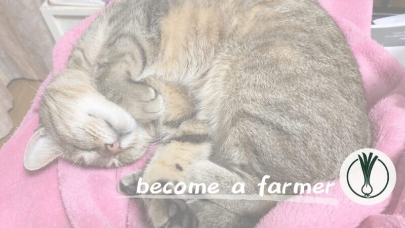 【人生なんか失敗ばかり】先輩農家から伺った学びのある言葉