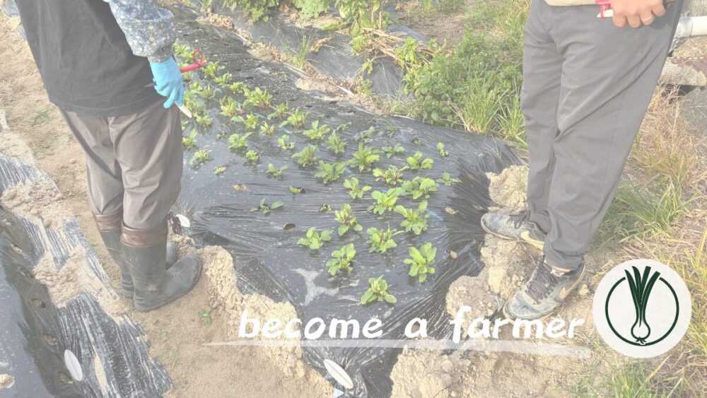 【援農体験記】脱サラ就農を目指す農業未経験者が「複数」の農家で働いて感じたこと