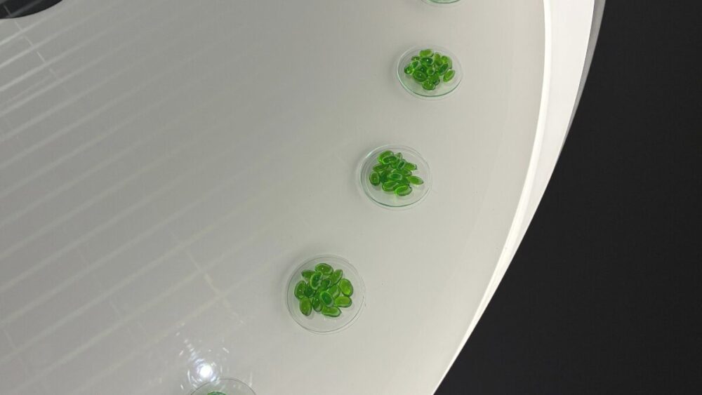 時間単価の算出