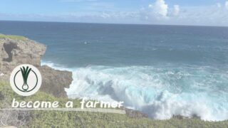 勤め先からのリストラ宣告！脱サラ就農を目指す男の社内状況 