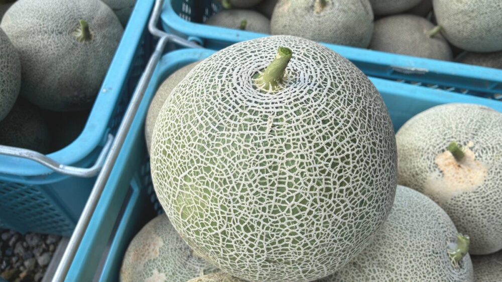 たぶち農場紹介