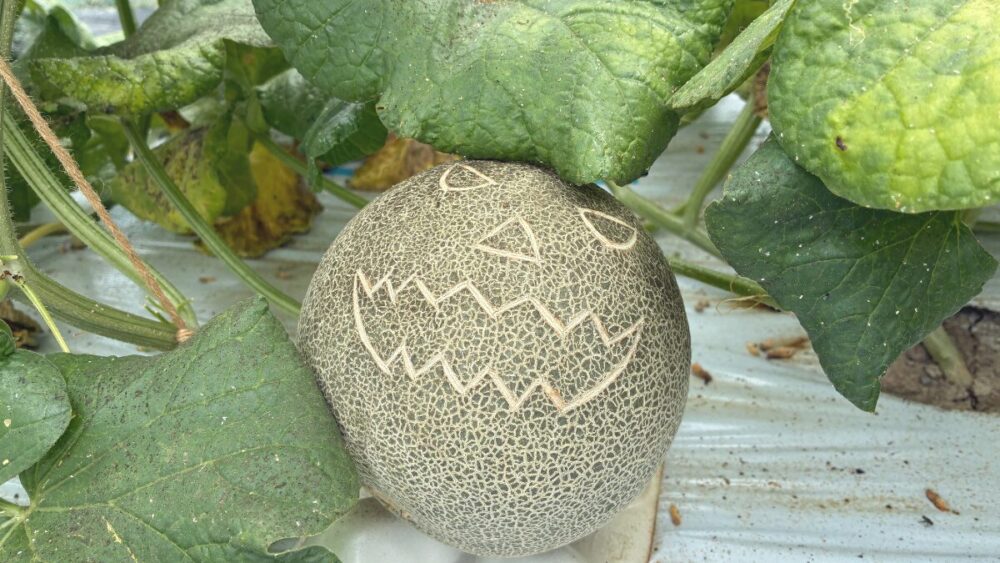 たぶち農場の経営理念