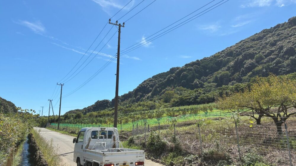たかみ農園の圃場周辺