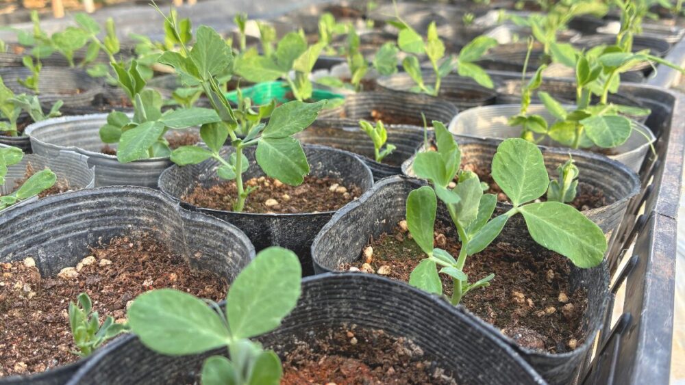 たぶち農場で学んでいること