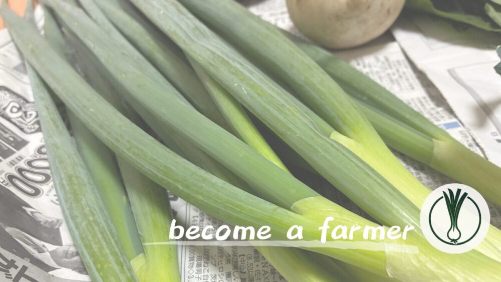 【家庭菜園記録】プランターで「九条ねぎ」を栽培！脱サラ就農を目指す男が実践したノウハウと所感を公開
