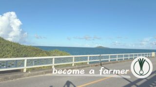 【ワシは運が良かっただけ】先輩農家から伺った学びのある言葉 