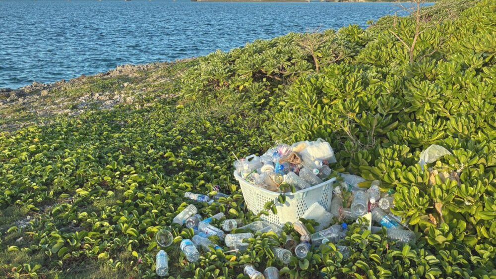 上達機会の投棄