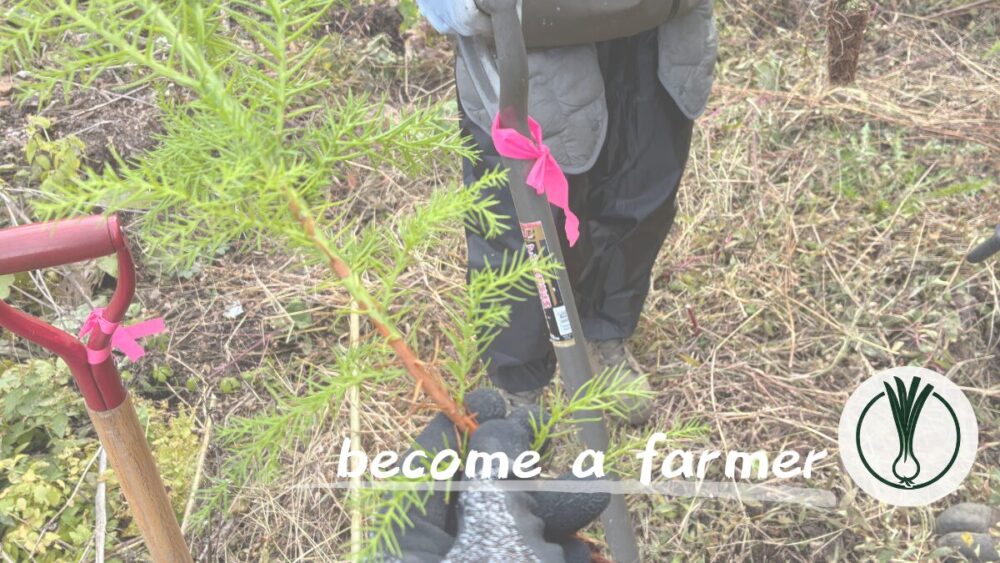 【印象に残っている言葉】脱サラ就農を目指すアラフォー会社員が先輩農家から学んでいること